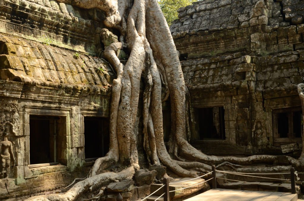 Siem Reap Tour Highlight